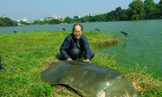 'Hồ Gươm không phải bể cá để thích thả gì thì thả'