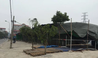 Hà Nội: Lấn chiếm đất nông nghiệp dựng lều bán hàng