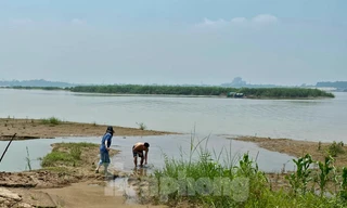 Hà Nội chấp thuận đề án xây dựng công viên văn hoá tại bãi giữa sông Hồng