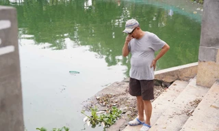 Nguyên nhân cá chết nhiều ở hồ Tây vào đêm và rạng sáng