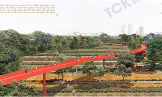 Ý tưởng cầu đi bộ đạt giải quy hoạch Công viên tại bãi giữa sông Hồng