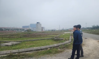 Chủ tịch Hà Nội chốt hạn cuối giao đất dịch vụ cho hơn 19.000 hộ dân