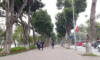 Hà Nội bỏ ý tưởng 'Đại lộ danh vọng' bên Hồ Gươm