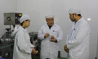 Trao đổi về sản phẩm tại Vườn ươm Doanh nghiệp Chế biến và Đóng gói thực phẩm tại Hà Nội (HBI).