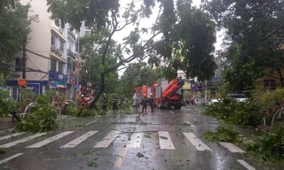 Hà Nội: Hơn 540 cây bật gốc, gãy cành, không xảy ra sự cố nhà ở