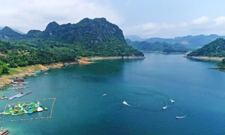 Sắp tổ chức đấu giá 'thủy quái' hồ Hòa Bình