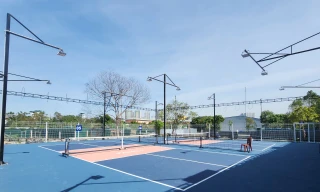 Hà Nội: Yêu cầu xử nghiêm tình trạng san lấp đất nông nghiệp để làm sân Pickleball 