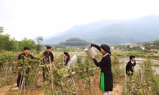 Vĩnh Phúc tăng cường đổi mới hoạt động tuyên truyền bình đẳng giới vùng dân tộc thiểu số