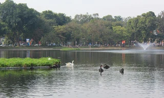 Hồ Thiền Quang tại quận Hai Bà Trưng