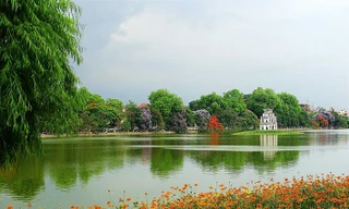 Dự án cải tạo Hồ Gươm không có phương án thay thế cây xanh