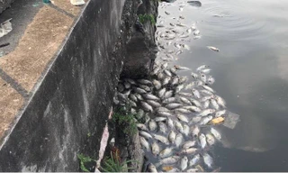 Cống xả thải sau sân bóng Trường THCS Chu Văn An