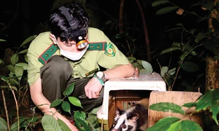 Thay đổi hành vi tiêu thụ thịt thú rừng để bảo vệ sức khỏe cộng đồng