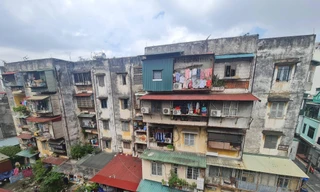 Khu tập thể Rau quả nông sản tại 135 Nguyễn Văn Cừ