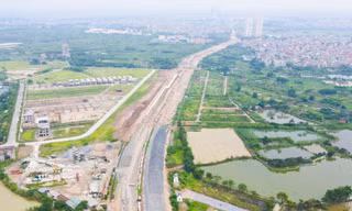 Ảnh minh họa