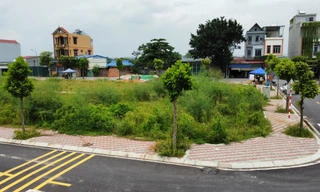 Đấu giá đất Thanh Oai (Hà Nội): 55 lô đất giá cao bỏ cọc