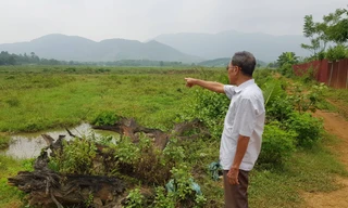 Khu đất rộng 18,5 ha được giao cho chị gái Giám đốc Sở KH-ĐT. Ảnh: Hiểu Minh