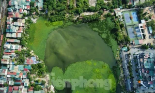 Hà Nội chỉ đạo xử lý việc 'bức tử' ao hồ, xây dựng trái phép tại phường Định Công