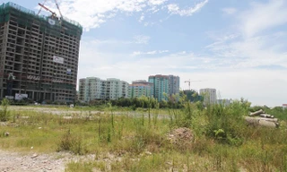 Hà Nội: Kiểm kê đất đai, lập bản đồ hiện trạng đất từ ngày 1/8 