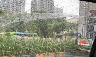 Xác minh thông tin công nhân phun nước tưới cây giữa trời mưa to ở Hà Nội