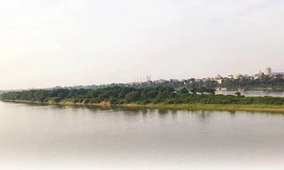 Hà Nội đề xuất quy hoạch khu bảo vệ chim di cư ở bãi giữa sông Hồng