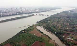 Hà Nội có phường đặc biệt ngoài đê thuộc địa bàn 5 quận