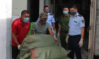 Lực lượng chức năng đưa 7 tấn nội tạng đi tiêu hủy