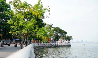 Hà Nội thành lập Ban Quản lý Hồ Tây