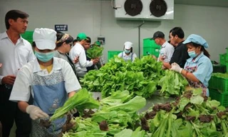 Liên kết đưa thực phẩm an toàn đến với người dân Hà Nội