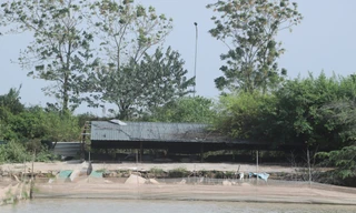 Hà Nội: Thu hồi dự án nông nghiệp 4,3ha, đền bù hơn 100 triệu đồng