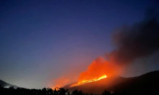 Cháy gần 3ha rừng ở huyện Tam Đảo, Vĩnh Phúc