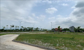 Hà Nội chỉ đạo nóng liên quan đến giao đất dịch vụ cho hơn 5.700 hộ dân tại huyện Mê Linh