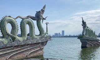 Nguyên nhân xuất hiện cá chết tại hồ Tây gây mùi khó chịu