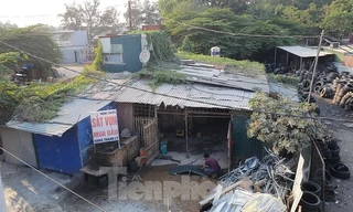 Chủ tịch Hà Nội yêu cầu làm rõ thông tin bảo kê nhà xưởng trái phép ở Hà Đông