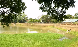 Ao cá Bác Hồ tại làng cổ Đường Lâm, thị xã Sơn Tây