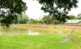 Ao cá Bác Hồ tại làng cổ Đường Lâm, thị xã Sơn Tây