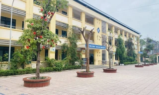 Thanh tra kết luận vụ giáo viên tiểu học bị tố 'gạ tình' nữ đồng nghiệp, đánh bảo vệ