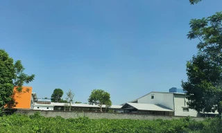 Nhà xưởng mọc tràn lan trên những mảnh đất lâm trường do hợp tác xã giao khoán.