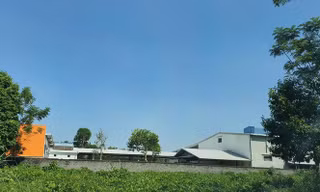 Nhà xưởng mọc tràn lan trên những mảnh đất lâm trường do hợp tác xã giao khoán.