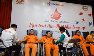 Tưng bừng Tuần lễ hồng EVN hưởng ứng Chủ nhật Đỏ lần thứ X