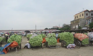 Hà Nội muốn xây chợ đầu mối 250 triệu USD kiểm soát thực phẩm