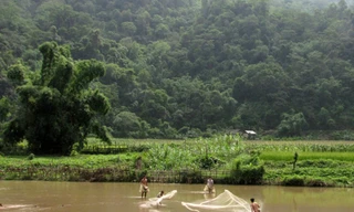 Mưu sinh trên Hồ Ba Bể