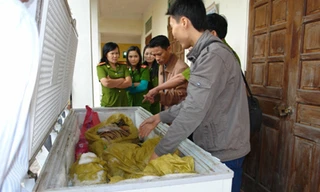 Công an tỉnh Nghệ An chuyển giao động vật hoang dã tịch thu được cho Bảo tàng Thiên nhiên Việt Nam tháng 10- 2010. Ảnh: Mỹ Hằng