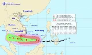Tin mới nhất về cơn bão số 16 hướng vào Vũng Tàu-Cà Mau