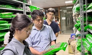 Bộ Y tế thành lập 15 tổ kiểm tra thuốc, mĩ phẩm, thực phẩm chức năng