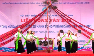 Phụ nữ dân tộc thiểu số hành động vì bình đẳng giới