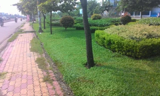 Nơi phát hiện thi thể.