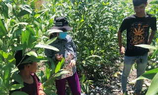 Vị trí chị Trúc phát hiện bé trai sơ sinh bị vùi trong đất và cùng người thân nhanh chóng cứu sống đứa bé.