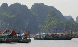 Cập nhật bão Talim: Quảng Ninh gió giật cấp 7, Bắc vịnh Bắc Bộ có sóng biển cao 3 mét