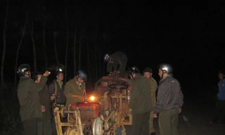 Cơ quan chức năng bắt 4 xe chở gỗ lậu.