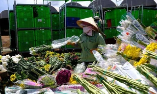 Hàng vạn cành hoa Đà Lạt không xuất khẩu được phải đổ bỏ, Bộ Nông nghiệp nói gì?